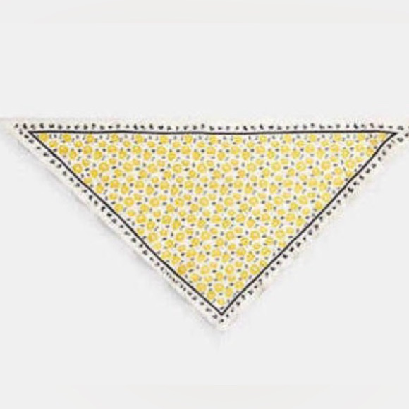 Coach Evelyn Floral Print Silk Triangle Scarf